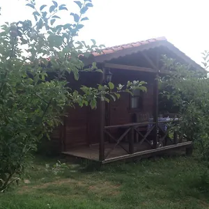Konukevi Salkim Ve Agac Evler, Selçuk